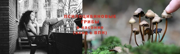 прущая мука Волоколамск